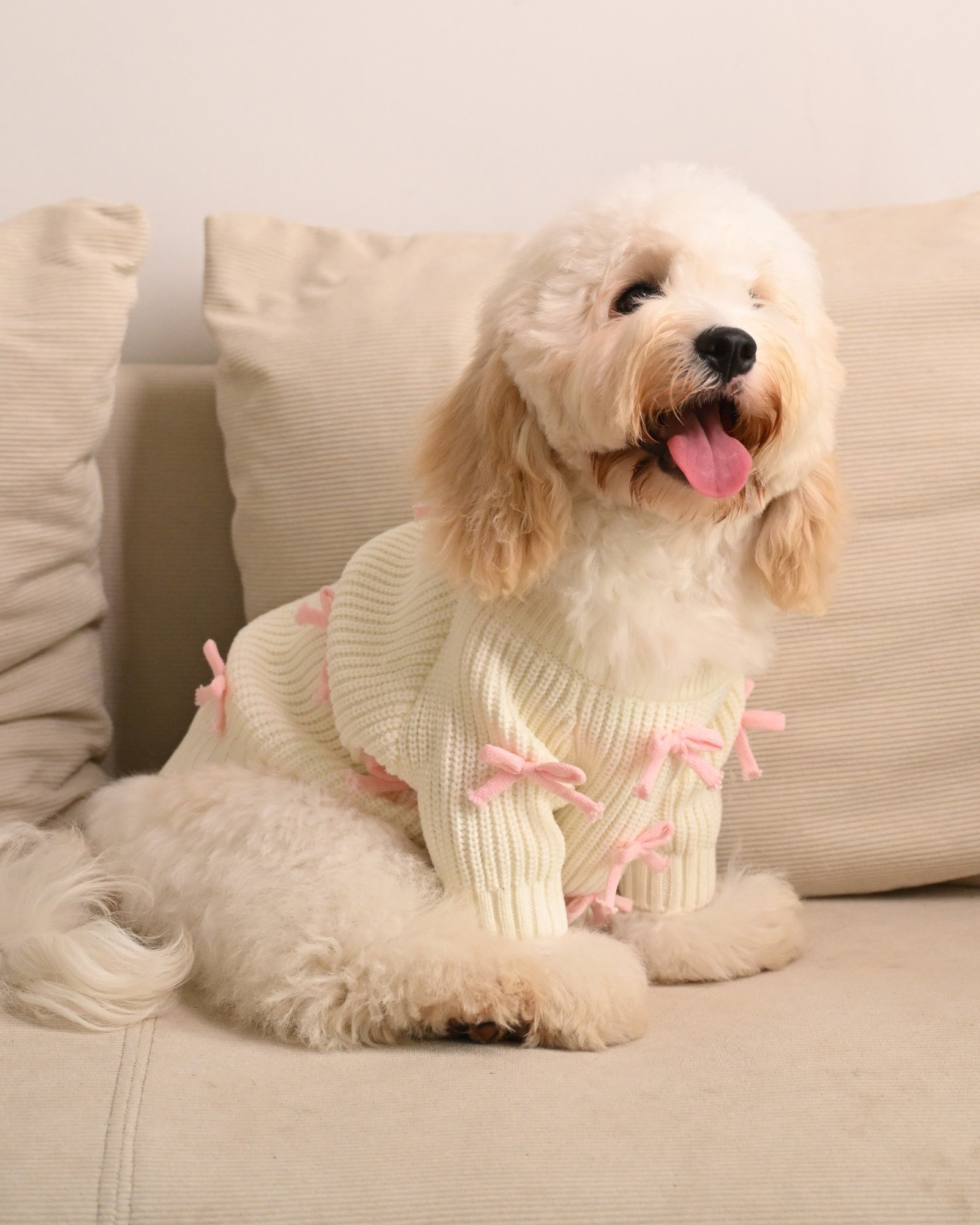 10_0da7e6bf-e875-401e-a5ad-6430eace249b.jpg Pink Bow-3D Motif Pet Sweater - Image 1